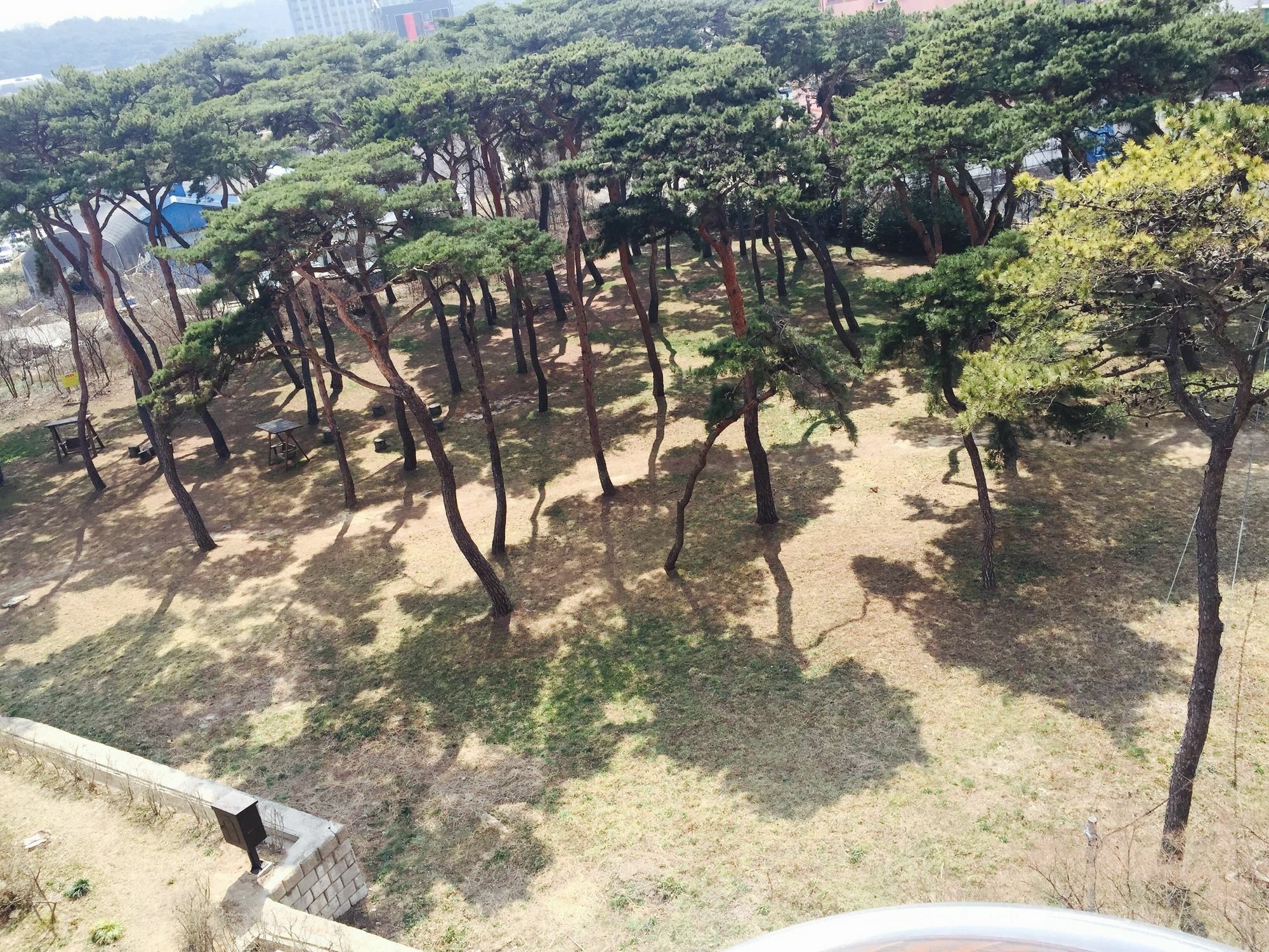 Glory Condo Dogo 牙山市 エクステリア 写真
